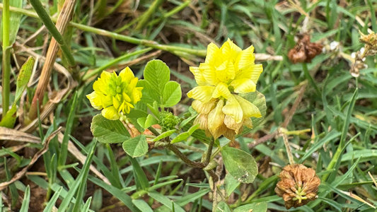 State Park Image